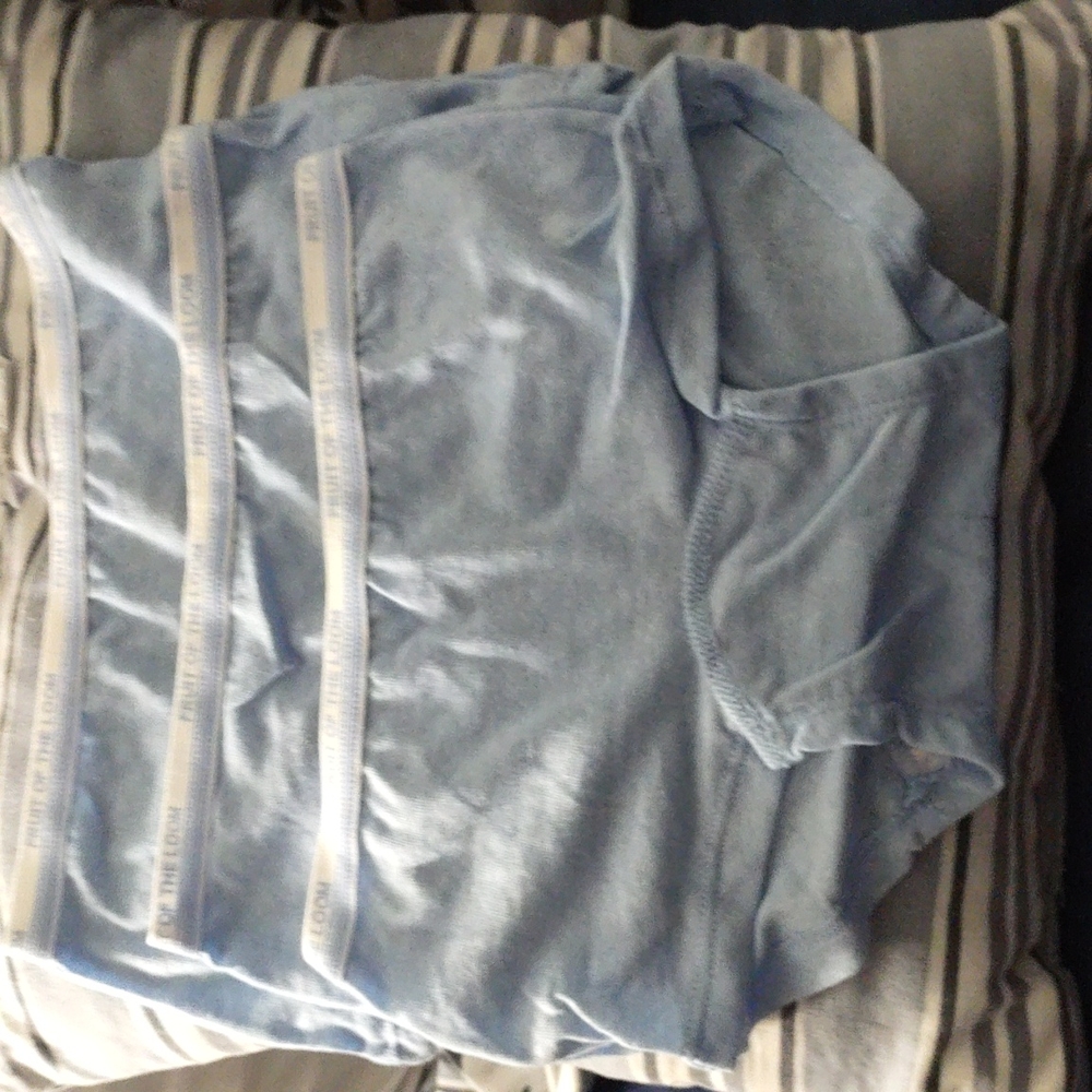 Baby blue fruit of the loom